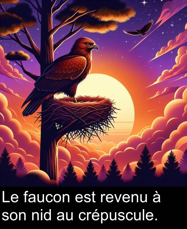 faucon: Le faucon est revenu à son nid au crépuscule.