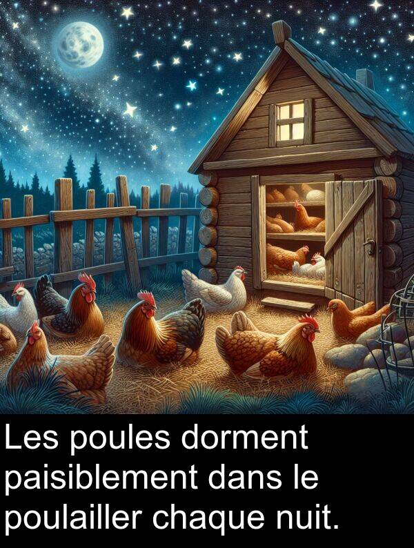 poules: Les poules dorment paisiblement dans le poulailler chaque nuit.