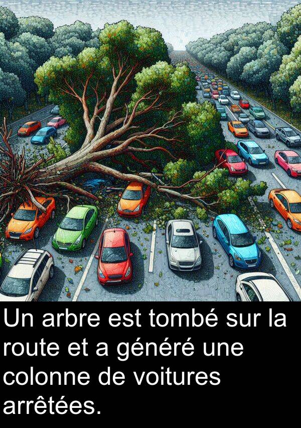 arrêtées: Un arbre est tombé sur la route et a généré une colonne de voitures arrêtées.