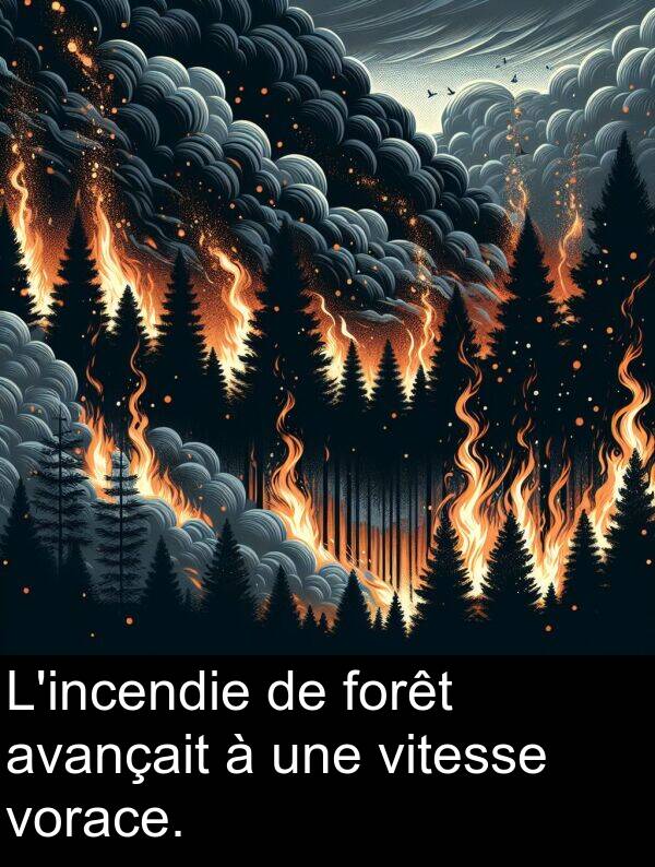 avançait: L'incendie de forêt avançait à une vitesse vorace.