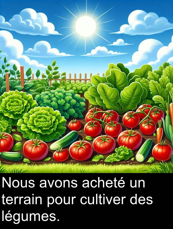 acheté: Nous avons acheté un terrain pour cultiver des légumes.