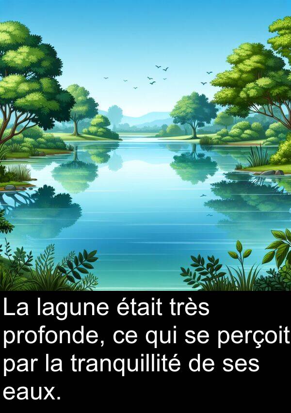 lagune: La lagune était très profonde, ce qui se perçoit par la tranquillité de ses eaux.