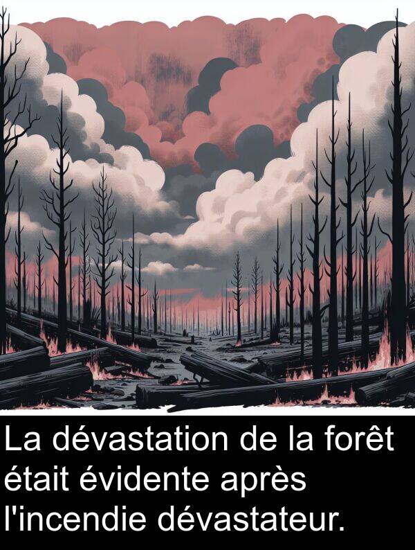 après: La dévastation de la forêt était évidente après l'incendie dévastateur.