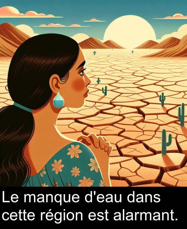 manque: Le manque d'eau dans cette région est alarmant.