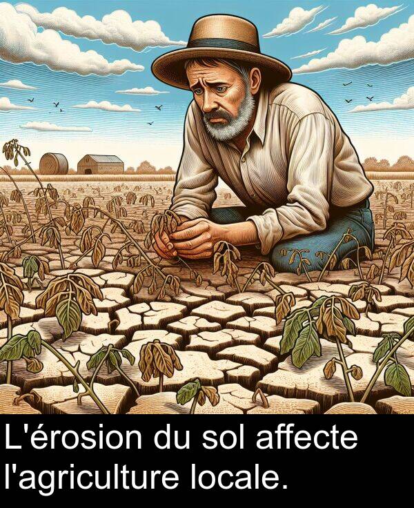 locale: L'érosion du sol affecte l'agriculture locale.