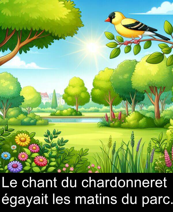 parc: Le chant du chardonneret égayait les matins du parc.