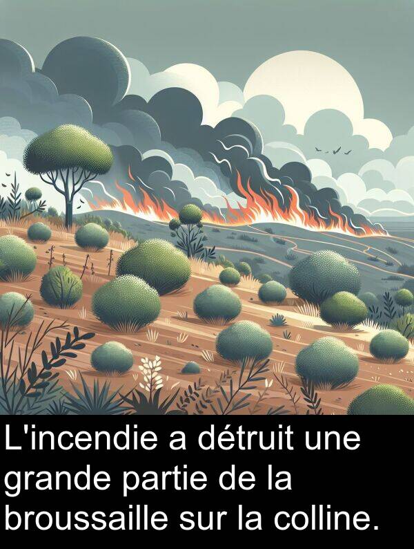 grande: L'incendie a détruit une grande partie de la broussaille sur la colline.