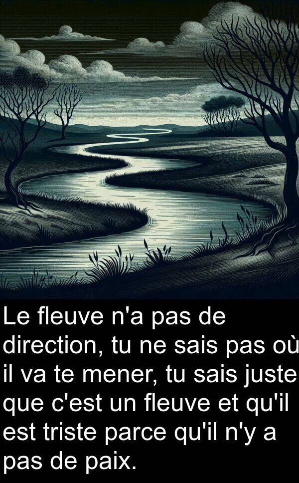 sais: Le fleuve n'a pas de direction, tu ne sais pas où il va te mener, tu sais juste que c'est un fleuve et qu'il est triste parce qu'il n'y a pas de paix.