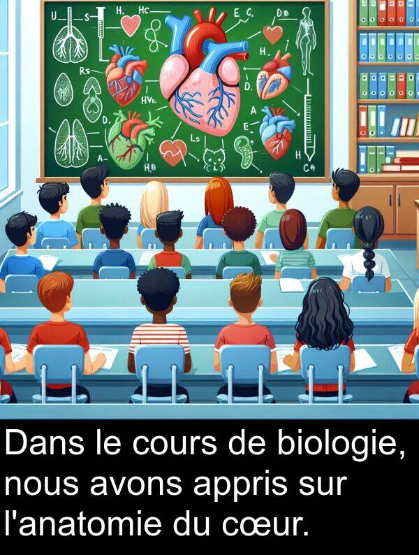 avons: Dans le cours de biologie, nous avons appris sur l'anatomie du cœur.