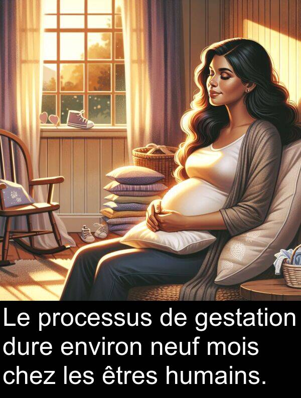 gestation: Le processus de gestation dure environ neuf mois chez les êtres humains.