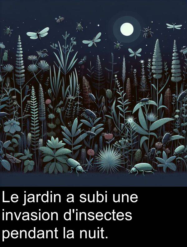 pendant: Le jardin a subi une invasion d'insectes pendant la nuit.