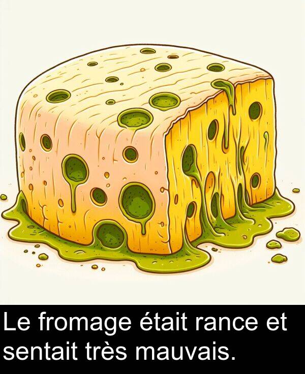 fromage: Le fromage était rance et sentait très mauvais.