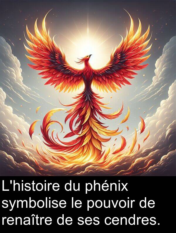 pouvoir: L'histoire du phénix symbolise le pouvoir de renaître de ses cendres.