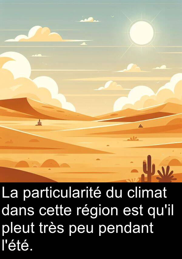 particularité: La particularité du climat dans cette région est qu'il pleut très peu pendant l'été.