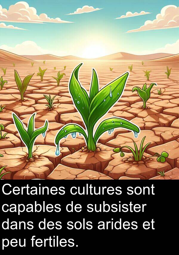 fertiles: Certaines cultures sont capables de subsister dans des sols arides et peu fertiles.