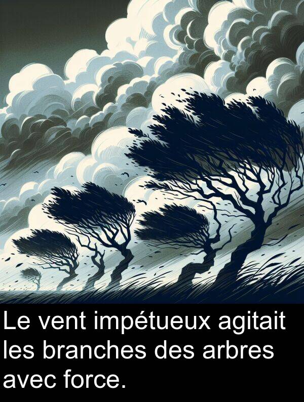 vent: Le vent impétueux agitait les branches des arbres avec force.