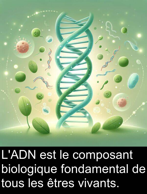 fondamental: L'ADN est le composant biologique fondamental de tous les êtres vivants.