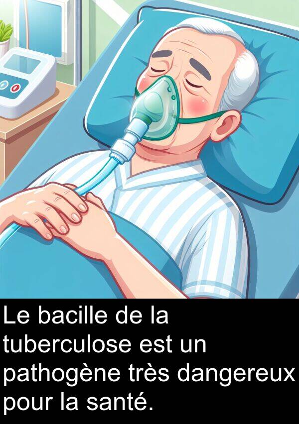 bacille: Le bacille de la tuberculose est un pathogène très dangereux pour la santé.