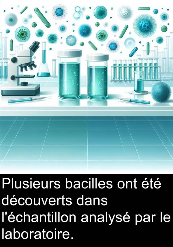 laboratoire: Plusieurs bacilles ont été découverts dans l'échantillon analysé par le laboratoire.