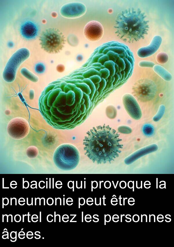 bacille: Le bacille qui provoque la pneumonie peut être mortel chez les personnes âgées.