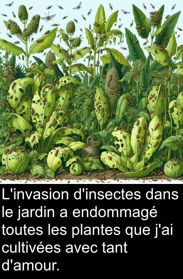 tant: L'invasion d'insectes dans le jardin a endommagé toutes les plantes que j'ai cultivées avec tant d'amour.