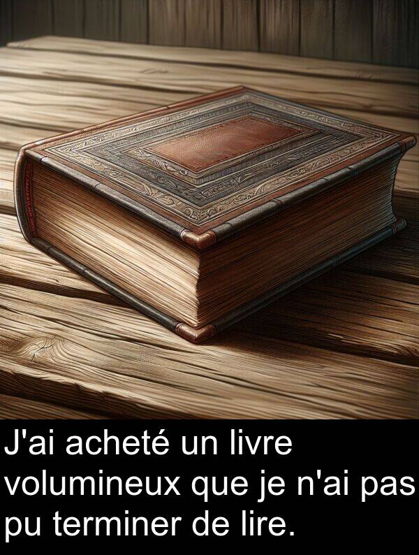 acheté: J'ai acheté un livre volumineux que je n'ai pas pu terminer de lire.