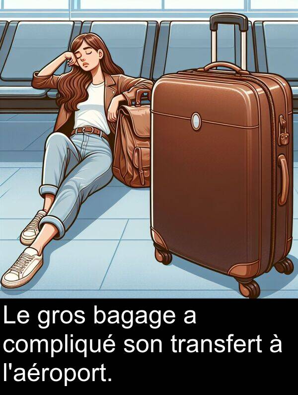 bagage: Le gros bagage a compliqué son transfert à l'aéroport.