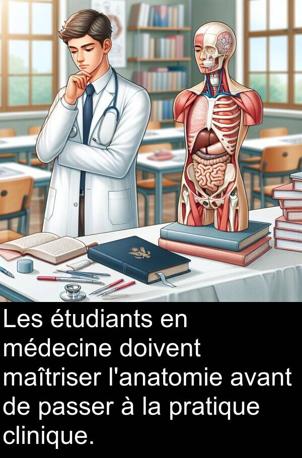 maîtriser: Les étudiants en médecine doivent maîtriser l'anatomie avant de passer à la pratique clinique.