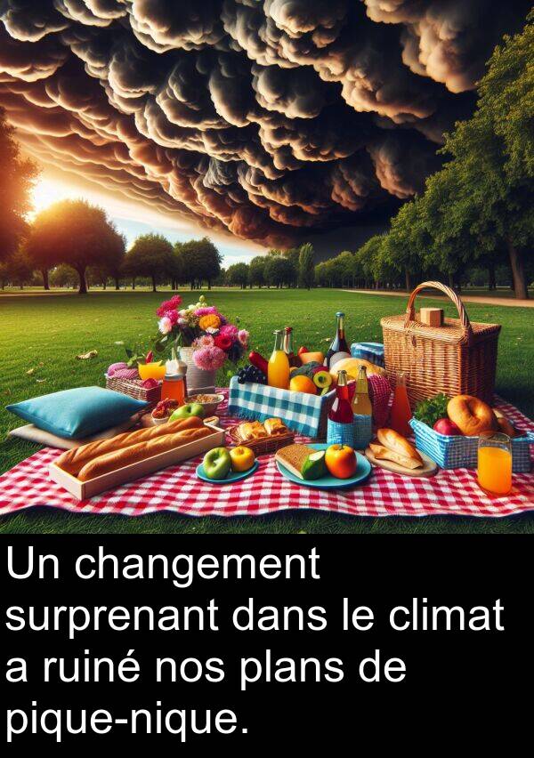 ruiné: Un changement surprenant dans le climat a ruiné nos plans de pique-nique.