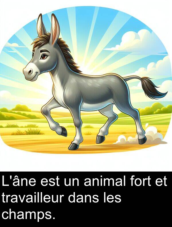 animal: L'âne est un animal fort et travailleur dans les champs.