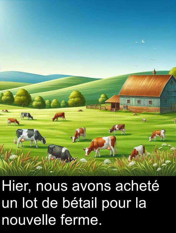 acheté: Hier, nous avons acheté un lot de bétail pour la nouvelle ferme.