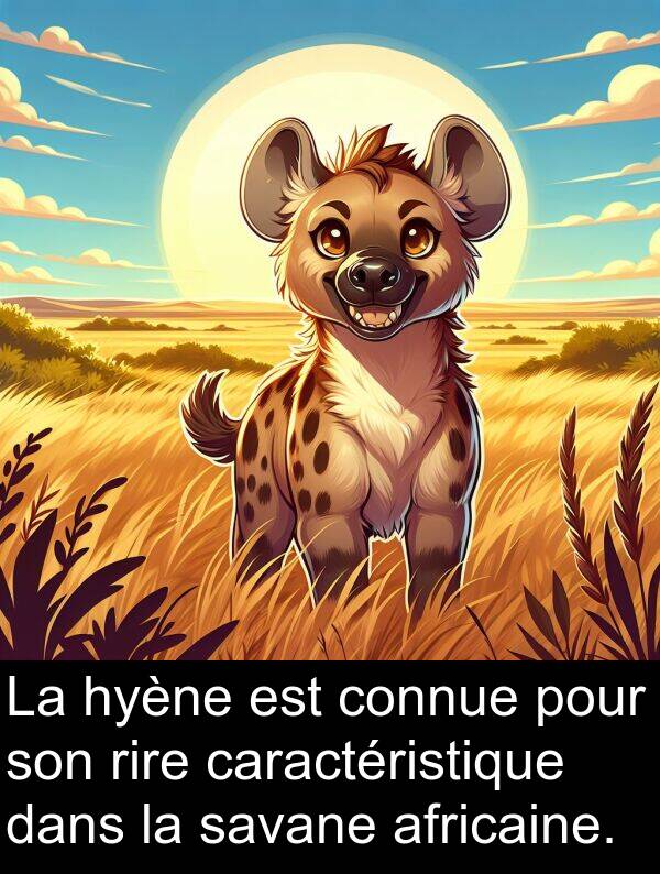 rire: La hyène est connue pour son rire caractéristique dans la savane africaine.