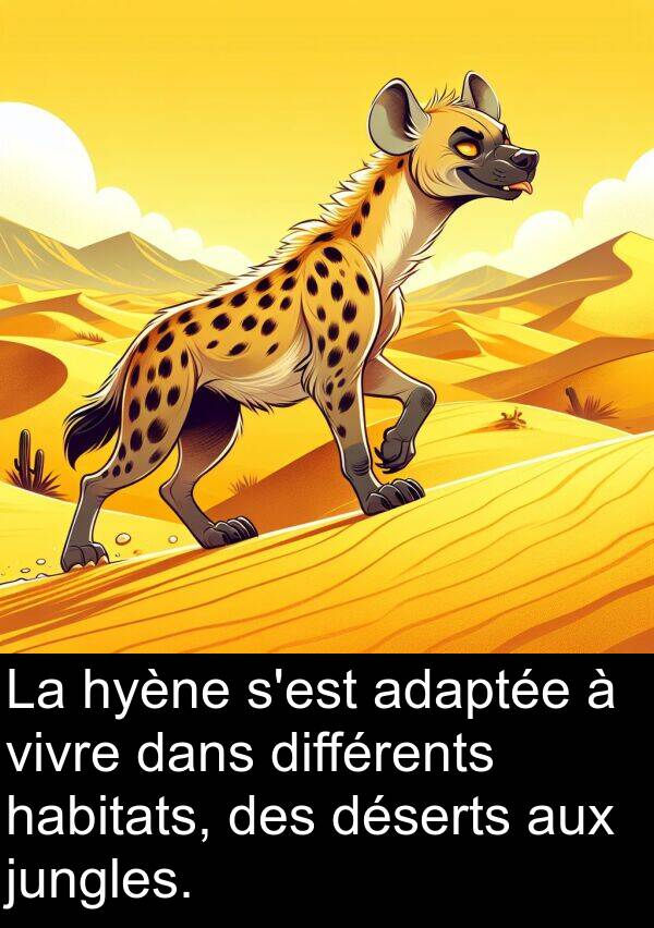 adaptée: La hyène s'est adaptée à vivre dans différents habitats, des déserts aux jungles.