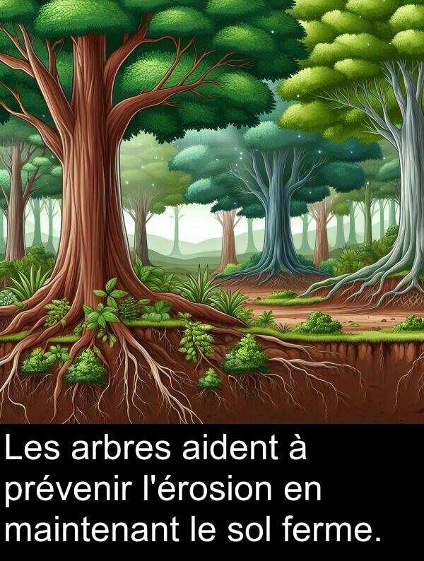 ferme: Les arbres aident à prévenir l'érosion en maintenant le sol ferme.