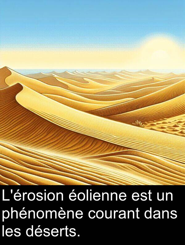 phénomène: L'érosion éolienne est un phénomène courant dans les déserts.