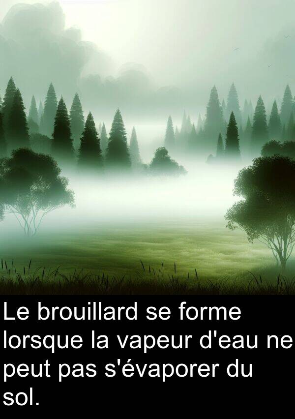 vapeur: Le brouillard se forme lorsque la vapeur d'eau ne peut pas s'évaporer du sol.