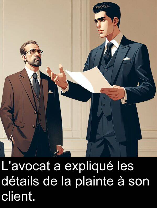 plainte: L'avocat a expliqué les détails de la plainte à son client.