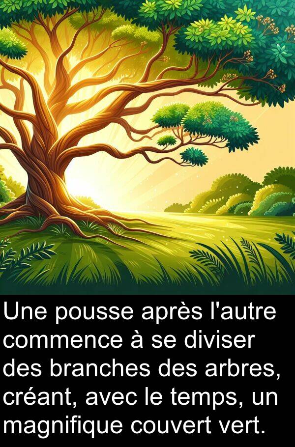 vert: Une pousse après l'autre commence à se diviser des branches des arbres, créant, avec le temps, un magnifique couvert vert.