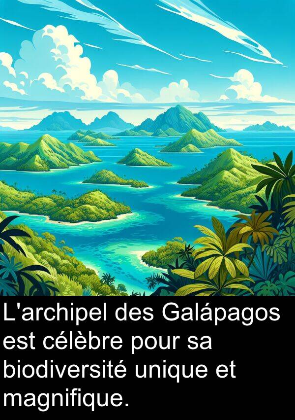 biodiversité: L'archipel des Galápagos est célèbre pour sa biodiversité unique et magnifique.