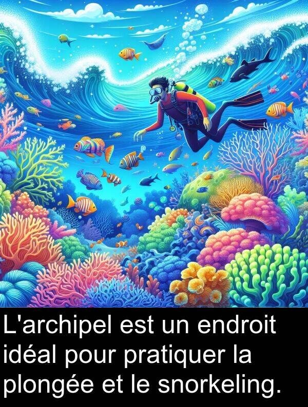 plongée: L'archipel est un endroit idéal pour pratiquer la plongée et le snorkeling.