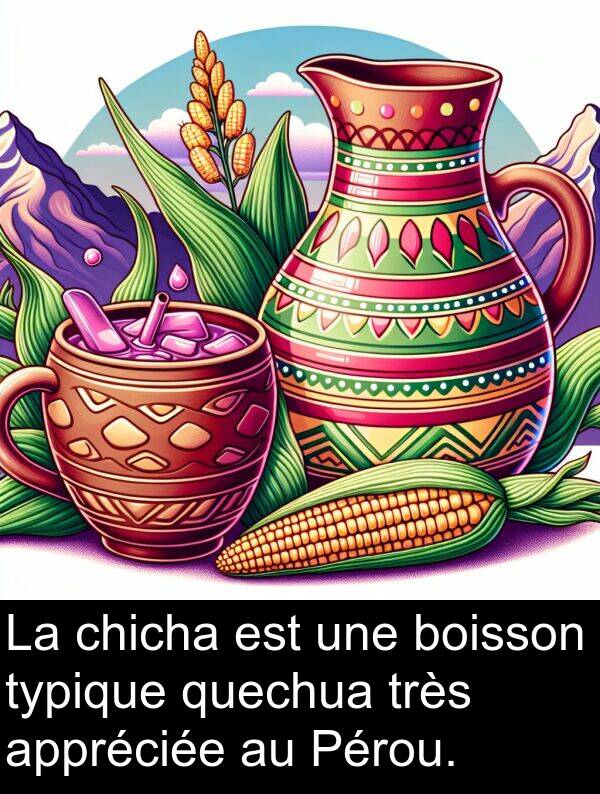 boisson: La chicha est une boisson typique quechua très appréciée au Pérou.