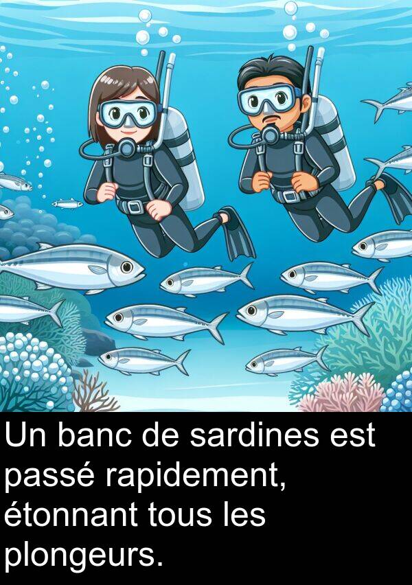 sardines: Un banc de sardines est passé rapidement, étonnant tous les plongeurs.