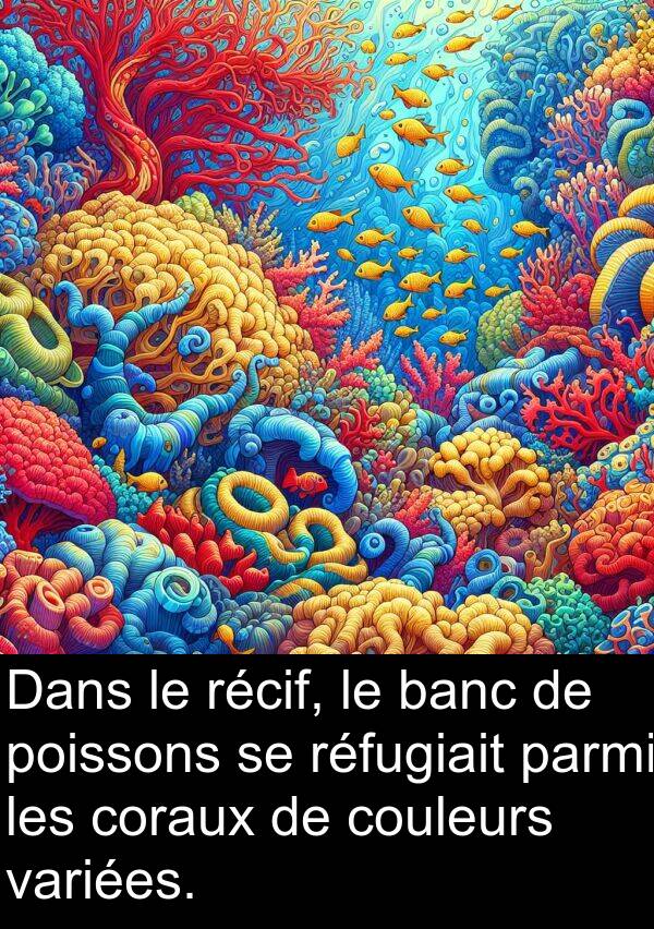 poissons: Dans le récif, le banc de poissons se réfugiait parmi les coraux de couleurs variées.