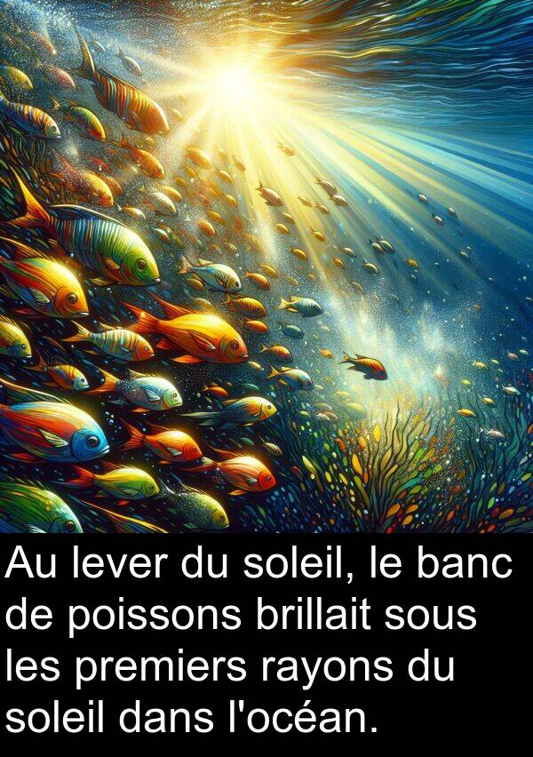 rayons: Au lever du soleil, le banc de poissons brillait sous les premiers rayons du soleil dans l'océan.