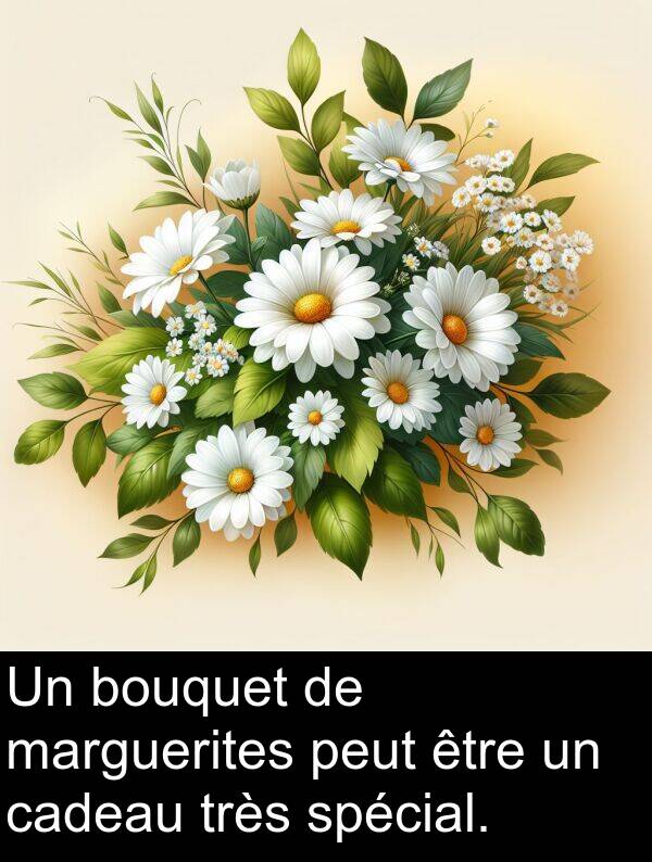 marguerites: Un bouquet de marguerites peut être un cadeau très spécial.