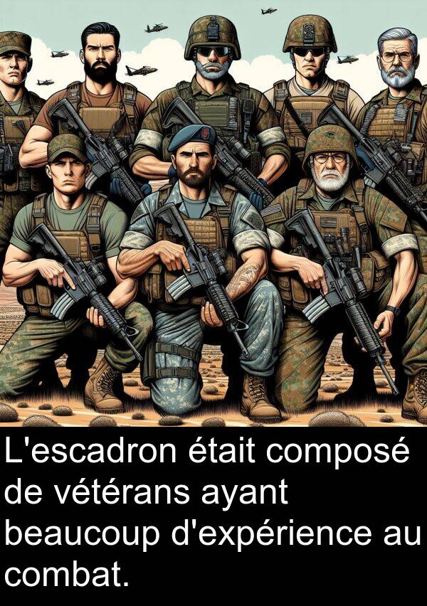 vétérans: L'escadron était composé de vétérans ayant beaucoup d'expérience au combat.