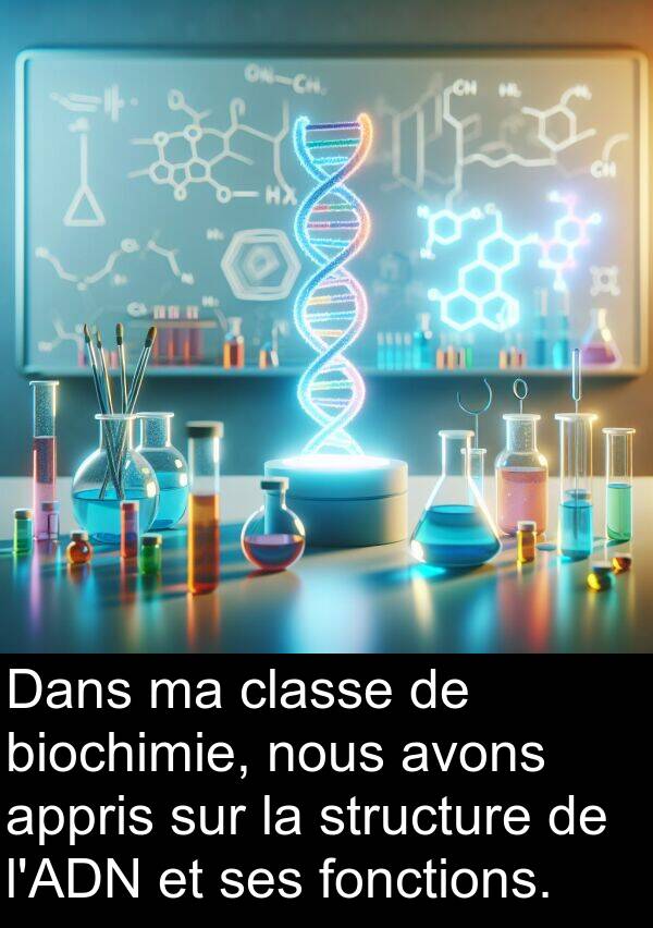 biochimie: Dans ma classe de biochimie, nous avons appris sur la structure de l'ADN et ses fonctions.