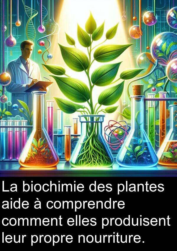 leur: La biochimie des plantes aide à comprendre comment elles produisent leur propre nourriture.