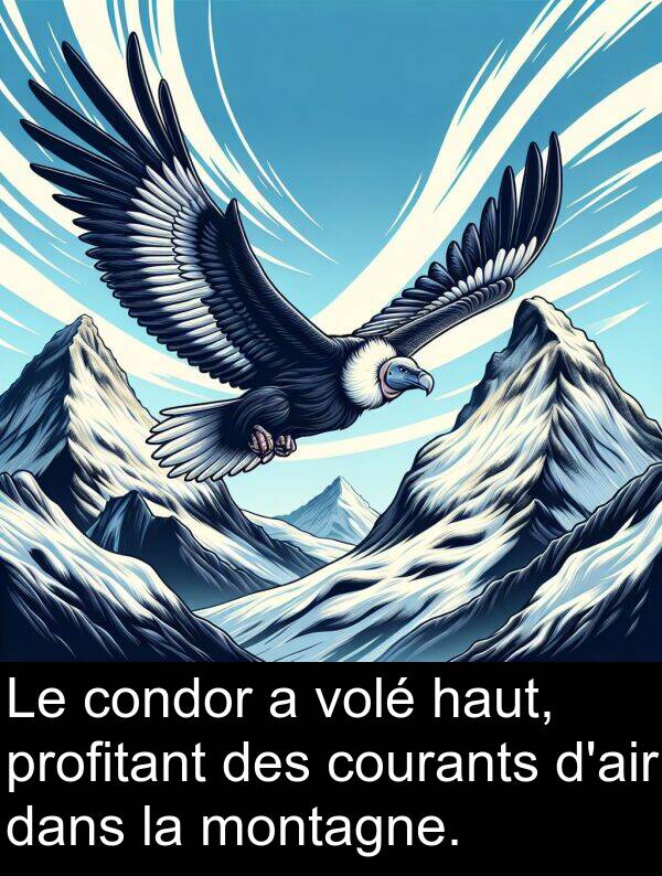 montagne: Le condor a volé haut, profitant des courants d'air dans la montagne.