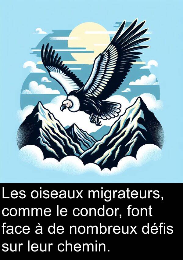 face: Les oiseaux migrateurs, comme le condor, font face à de nombreux défis sur leur chemin.